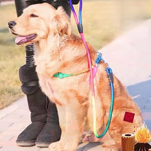 A+a Pets' Step-in Harness & Leash Set for Cats & Small Dogs Rainbow Colours - www.aplusapets.com