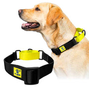 A+a Pets’ Martingale Collar for Dogs - Black Collection - www.aplusapets.com