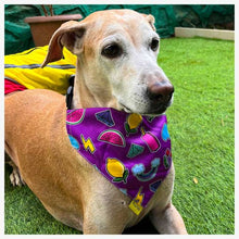A+a Pets' 2in1 Scarf Collar Bandana for Dogs & Cats - Fruit Collection