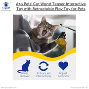 cat play toys