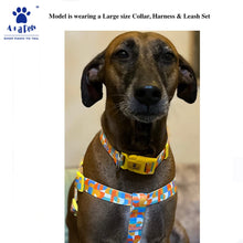 A+A Pets' Tetris Design Collar For Dogs & Cats - www.aplusapets.com