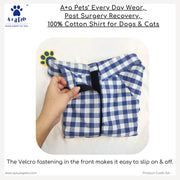 A+a Pets’ Every Day Shirt for Dogs & Cats - www.aplusapets.com