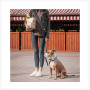 A+a Pets’ Hands Free Waist Tie-up Adjustable Leash - www.aplusapets.com
