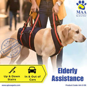 Dog wearing a harness with elderly assistance features, being walked by a person.