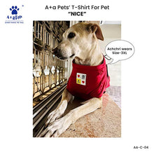 A+a Pets' Combo T-Shirts for Human & Pets | 100% Cotton - I Work Hard Collection