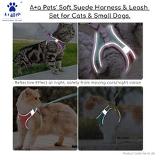 A+a Pets' Suede Harness & Leash Set for Cats & Small Dogs