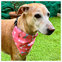 A+a Pets' 2in1 Scarf Collar Bandana for Dogs & Cats - Bones Collection