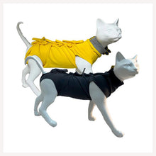 cat recovery suit