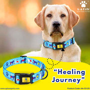 Dog wearing a colorful collar with 'Healing Journey' design, brand 'A-plus Pets' visible.