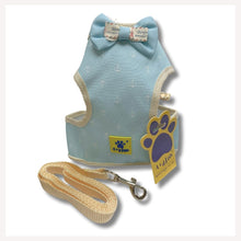 A+a Pets' Cat, Puppy and Small Dog Harness and Leash Set(Combo) - Sky Blue Print