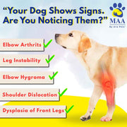 A+a Pets' Elbow Brace & Shoulder Support for Dogs for Front legs - www.aplusapets.com