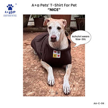A+a Pets' Combo T-Shirts for Human & Pets | 100% Cotton - I Work Hard Collection