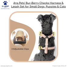 dog harness and leash set