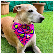 A+a Pets' 2in1 Scarf Collar Bandana for Dogs & Cats - Heart Collection - www.aplusapets.com