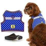 A+a Pets' Retro Vest Harness & Leash Set for Cats & Small Dogs - www.aplusapets.com
