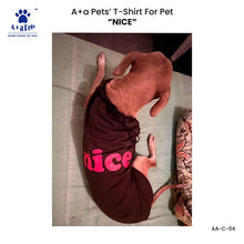 A+a Pets' Combo T-Shirts for Human & Pets | 100% Cotton - I Work Hard Collection