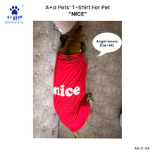 A+a Pets' Combo T-Shirts for Human & Pets | 100% Cotton - I Work Hard Collection