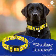 Black dog wearing a yellow 'Monkey Banana' patterned collar with A+ Pets branding.