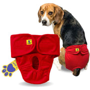Dog wearing a red diaper with a paw print label on a white background