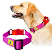 A+a Pets’ Martingale Collar for Dogs - Pink Collection - www.aplusapets.com