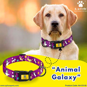 Dog wearing a purple 'Animal Galaxy' collar with a blurred outdoor background