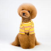 A+A Pets' Soft T-Shirt With Sleeves For Pets - www.aplusapets.com