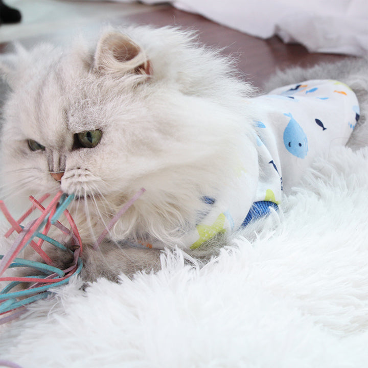 A+a Pets' Soft Jersey t-Shirt for Cats & Puppies - www.aplusapets.com