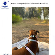 A+a Pets' Gradient Design Collar For Dogs & Cats- Pink - www.aplusapets.com