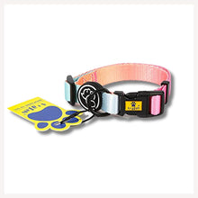 A+a Pets' Gradient Design Collar For Dogs & Cats- Pink - www.aplusapets.com