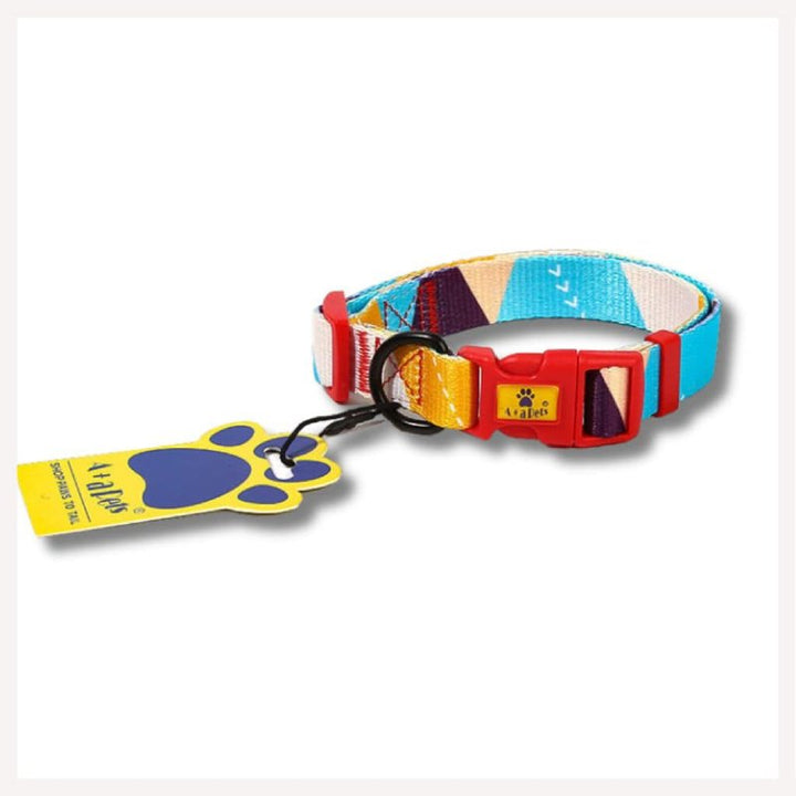 Abstract Art Inspired Dog and Cat Collar