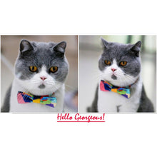 Pet Fashion Trends Bow Tie Collar for Cats and Puppies