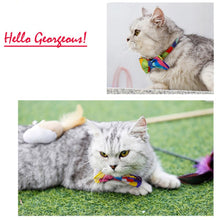 Whimsical Bow Tie Collar - Perfect for Fashionable Pet