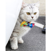 A+a Pets' Goodie Box of (3) for Dogs and Cats: Wand Toy, Retractable Leash, and Bow Collar - www.aplusapets.com