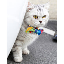 Pet Neckwear  Bow Tie Collar for Stylish Cats and Puppies