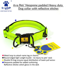 A+a Pets' Neoprene Padded Reflective Collar - Green - www.aplusapets.com