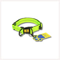 A+a Pets' Neoprene Padded Reflective Collar - Green - www.aplusapets.com