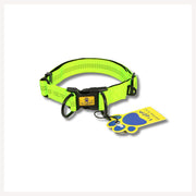 A+a Pets' Neoprene Padded Reflective Collar - Green - www.aplusapets.com