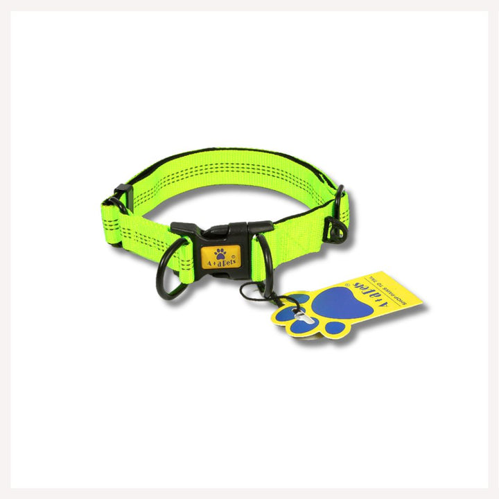 A+a Pets' Neoprene Padded Reflective Collar - Green - www.aplusapets.com