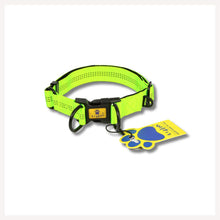A+a Pets' Neoprene Padded Reflective Collar - Green - www.aplusapets.com