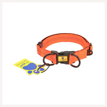 A+a Pets' Neoprene Padded Reflective Collar-Orange - www.aplusapets.com