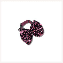 bow collar for pets