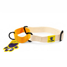 A+a Pets’ Martingale Collar for Dogs - Mango Cotton Collection