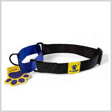 A+a Pets’ Martingale Collar for Dogs - Sky Collection