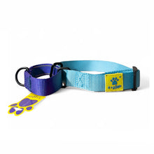 A+a Pets’ Martingale Collar for Dogs - Sky Collection