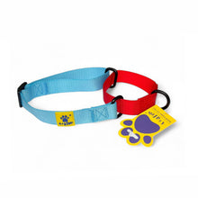 A+a Pets’ Martingale Collar for Dogs - Sky Collection