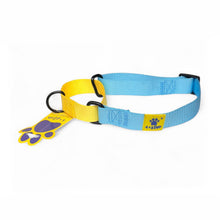 A+a Pets’ Martingale Collar for Dogs - Sky Collection