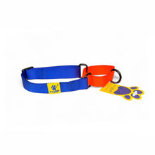 A+a Pets’ Martingale Collar for Dogs - Orange Collection