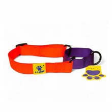 A+a Pets’ Martingale Collar for Dogs - Orange Collection