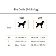 A+A Pets' Air Mesh Quick Dry Vest Style Harness for Dog - www.aplusapets.com