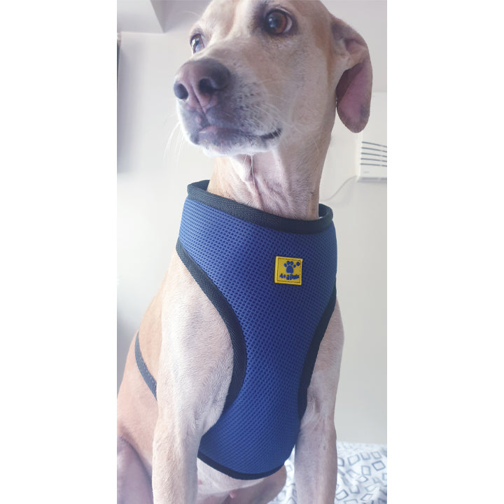 A+A Pets' Air Mesh Quick Dry Vest Style Harness